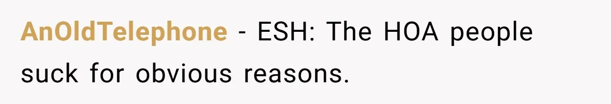 AnOldTelephone − ESH: The HOA people suck for obvious reasons.