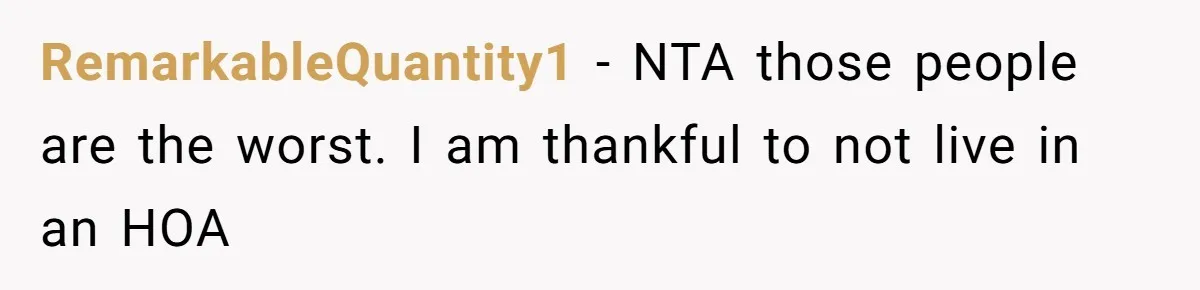 RemarkableQuantity1 − NTA those people are the worst. I am thankful to not live in an HOA