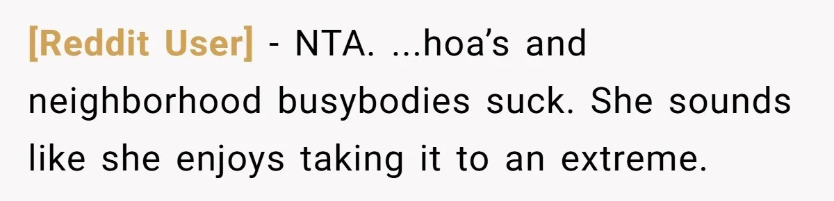 [Reddit User] − NTA. ...hoa’s and neighborhood busybodies suck. She sounds like she enjoys taking it to an extreme.