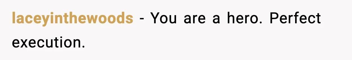 laceyinthewoods - You are a hero. Perfect execution.