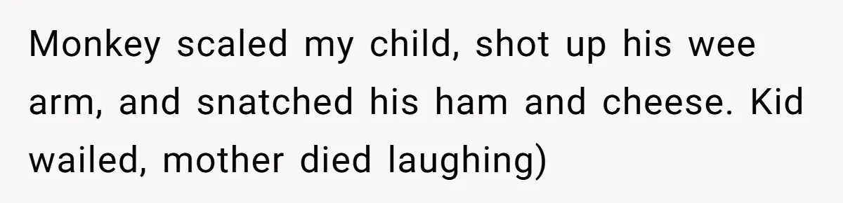 Monkey scaled my child, shot up his wee arm, and snatched his ham and cheese. Kid wailed, mother died laughing)