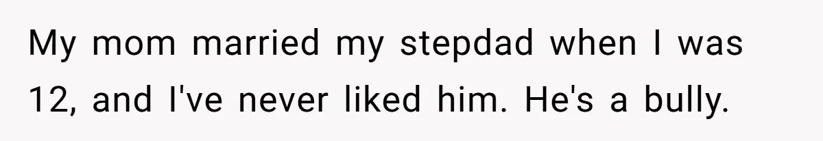 My mom married my stepdad when I was 12, and I've never liked him. He's a bully.