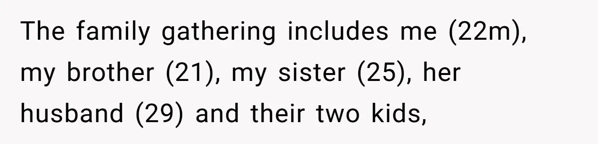 The family gathering includes me (22m), my brother (21), my sister (25), her husband (29) and their two kids,