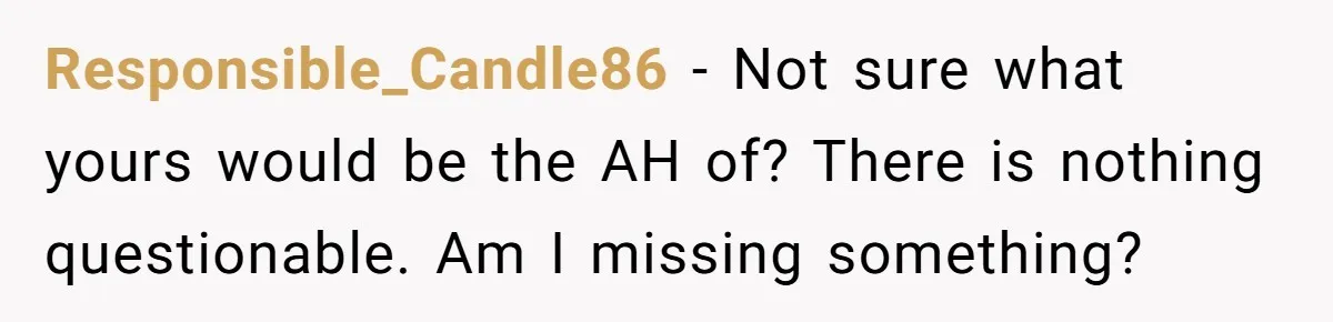 Responsible_Candle86 − Not sure what yours would be the AH of? There is nothing questionable. Am I missing something?