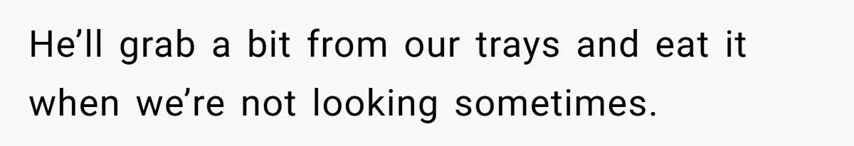 He’ll grab a bit from our trays and eat it when we’re not looking sometimes.