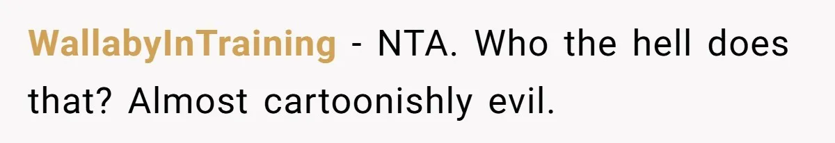 WallabyInTraining − NTA. Who the hell does that? Almost cartoonishly evil.