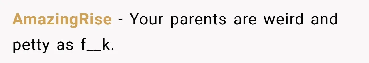 AmazingRise − Your parents are weird and petty as f__k.