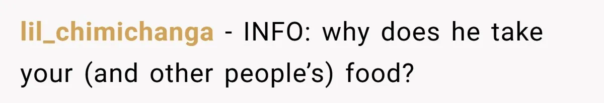 lil_chimichanga − INFO: why does he take your (and other people’s) food?
