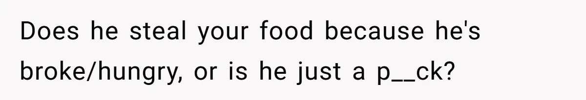 Does he steal your food because he's broke/hungry, or is he just a p__ck?