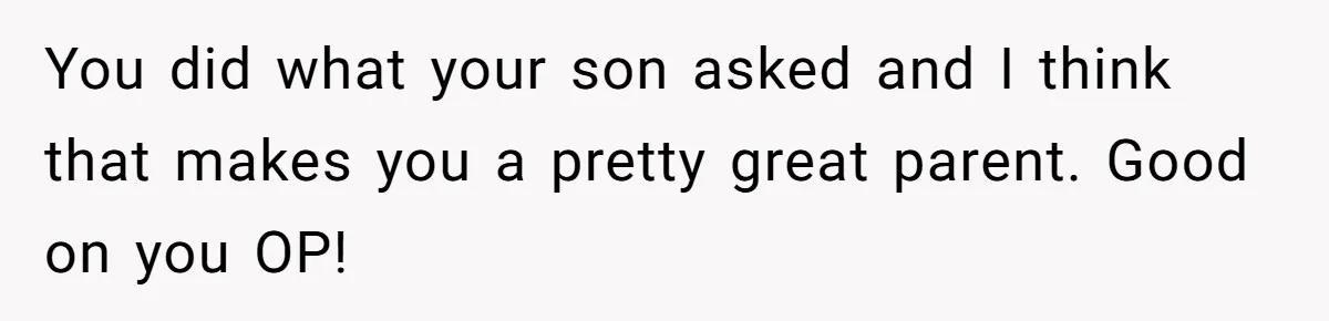 You did what your son asked and I think that makes you a pretty great parent. Good on you OP!