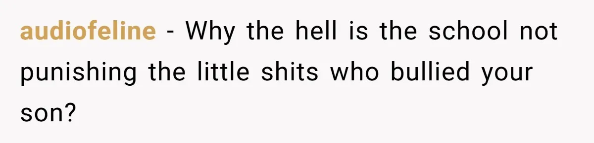 audiofeline − Why the hell is the school not punishing the little shits who bullied your son?