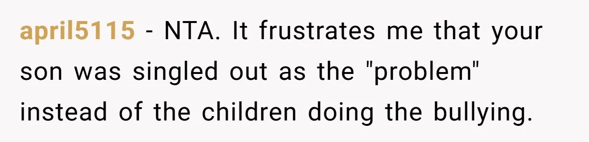 april5115 − NTA. It frustrates me that your son was singled out as the "problem" instead of the children doing the bullying.
