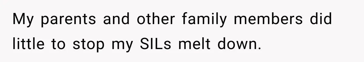 My parents and other family members did little to stop my SILs melt down.