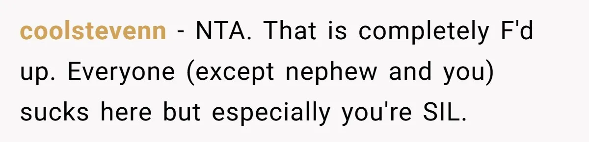coolstevenn − NTA. That is completely F'd up. Everyone (except nephew and you) sucks here but especially you're SIL.