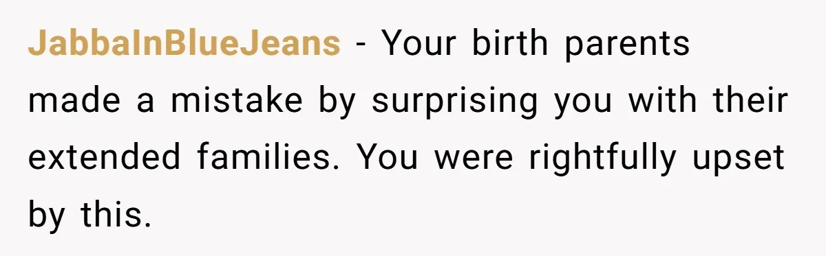 JabbaInBlueJeans − Your birth parents made a mistake by surprising you with their extended families. You were rightfully upset by this.