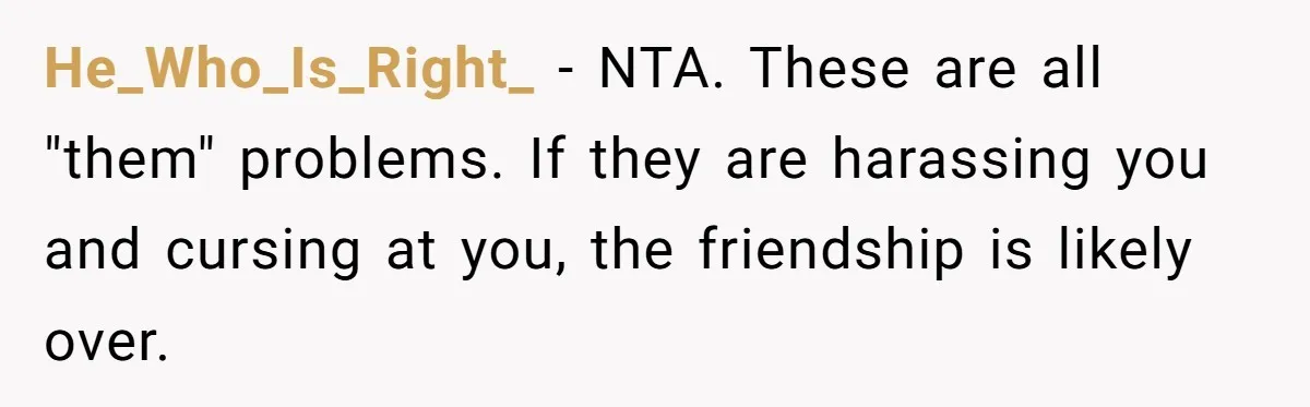 He_Who_Is_Right_ − NTA. These are all "them" problems. If they are harassing you and cursing at you, the friendship is likely over.