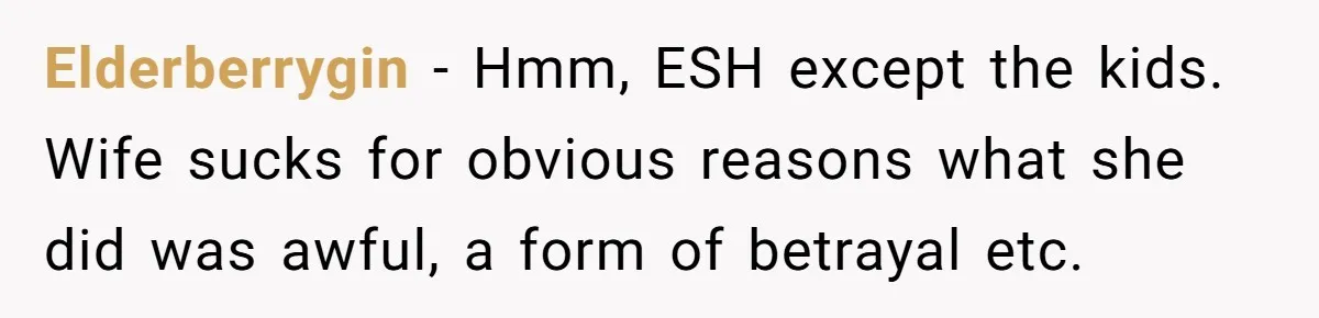Elderberrygin − Hmm, ESH except the kids. Wife sucks for obvious reasons what she did was awful, a form of betrayal etc.