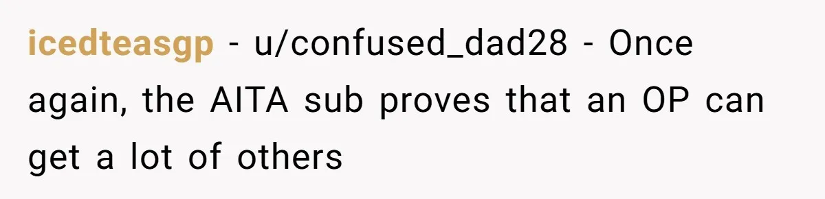 icedteasgp − u/confused_dad28 - Once again, the AITA sub proves that an OP can get a lot of others