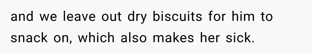 MIL Accuses Woman Of Cruelty After She Defends Cat’s Meat Diet and we leave out dry biscuits for him to snack on, which also makes her sick.