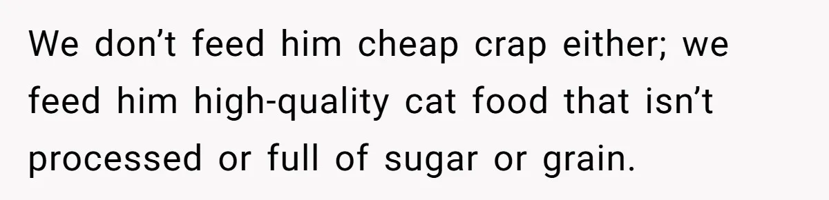 MIL Accuses Woman Of Cruelty After She Defends Cat’s Meat Diet We don’t feed him cheap crap either; we feed him high-quality cat food that isn’t processed or full of sugar or grain.