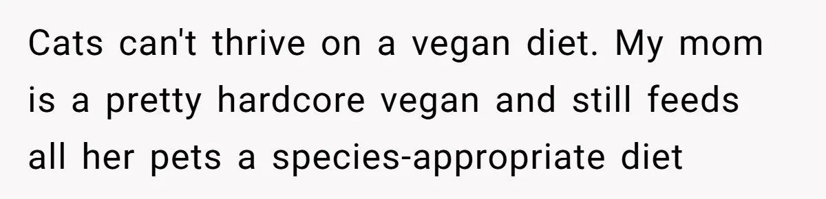 MIL Accuses Woman Of Cruelty After She Defends Cat’s Meat Diet Cats can't thrive on a vegan diet. My mom is a pretty hardcore vegan and still feeds all her pets a species-appropriate diet