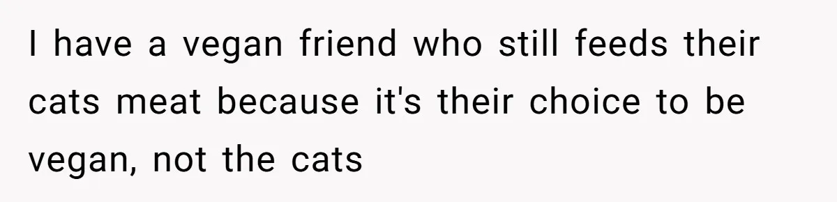 MIL Accuses Woman Of Cruelty After She Defends Cat’s Meat Diet I have a vegan friend who still feeds their cats meat because it's their choice to be vegan, not the cats