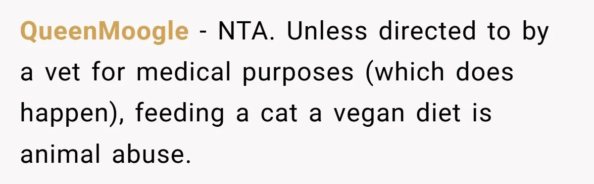 MIL Accuses Woman Of Cruelty After She Defends Cat’s Meat Diet QueenMoogle − NTA. Unless directed to by a vet for medical purposes (which does happen), feeding a cat a vegan diet is animal abuse.