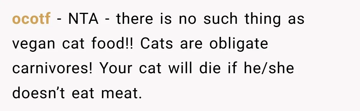 MIL Accuses Woman Of Cruelty After She Defends Cat’s Meat Diet ocotf − NTA - there is no such thing as vegan cat food!! Cats are obligate carnivores! Your cat will die if he/she doesn’t eat meat.
