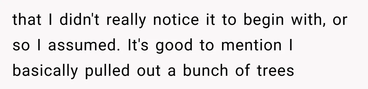 that I didn't really notice it to begin with, or so I assumed. It's good to mention I basically pulled out a bunch of trees