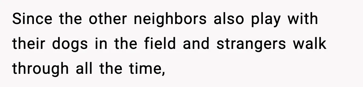 Since the other neighbors also play with their dogs in the field and strangers walk through all the time,