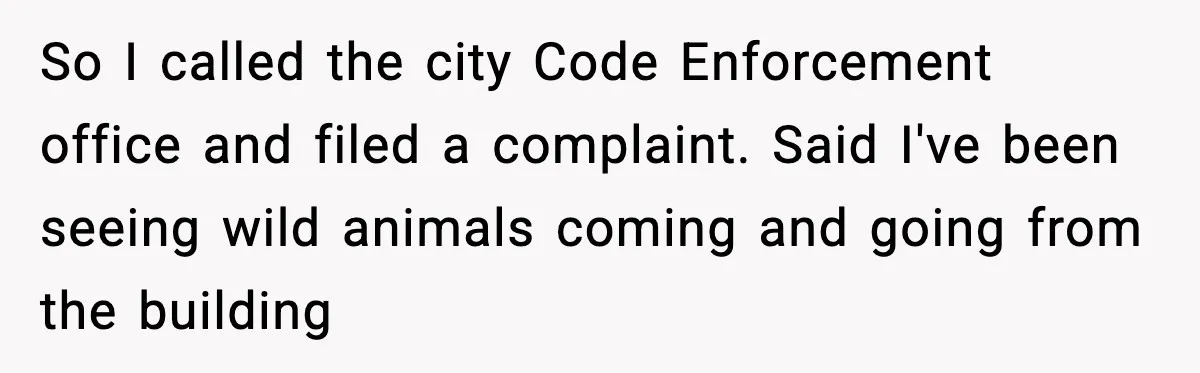 So I called the city Code Enforcement office and filed a complaint. Said I've been seeing wild animals coming and going from the building