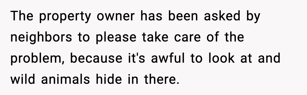 The property owner has been asked by neighbors to please take care of the problem, because it's awful to look at and wild animals hide in there.