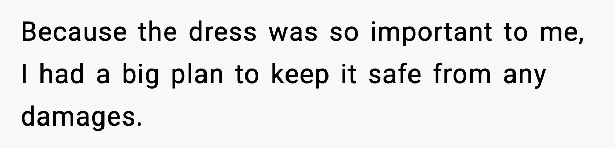 Because the dress was so important to me, I had a big plan to keep it safe from any damages.