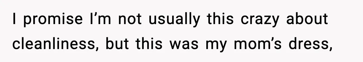 I promise I’m not usually this crazy about cleanliness, but this was my mom’s dress,