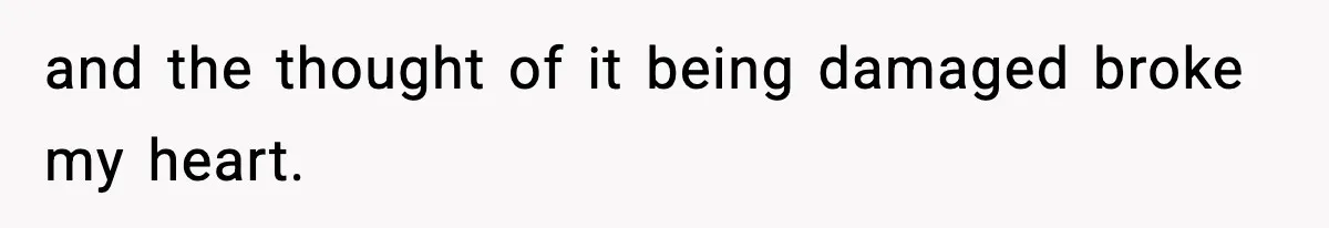 and the thought of it being damaged broke my heart.