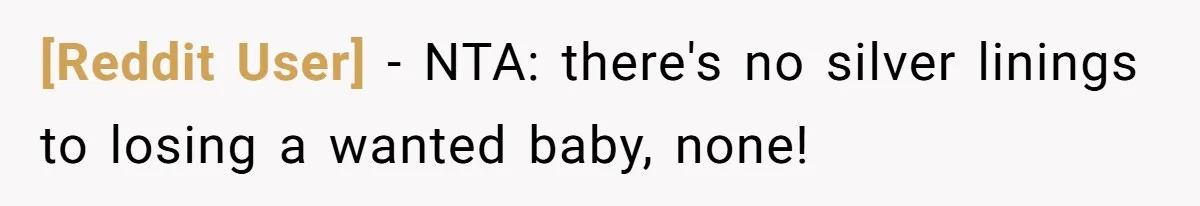[Reddit User] − NTA: there's no silver linings to losing a wanted baby, none!