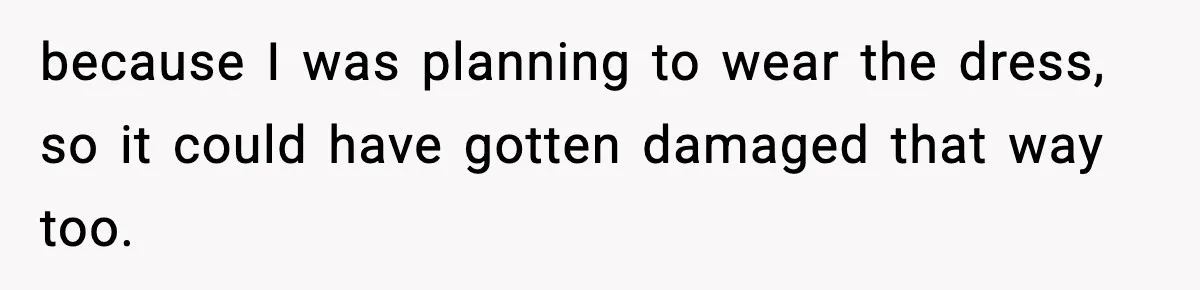 because I was planning to wear the dress, so it could have gotten damaged that way too.
