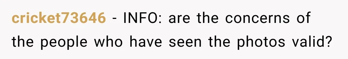 Man Bans Family From Meeting Newborn After They Criticize His Wife’s Parenting cricket73646 − INFO: are the concerns of the people who have seen the photos valid?