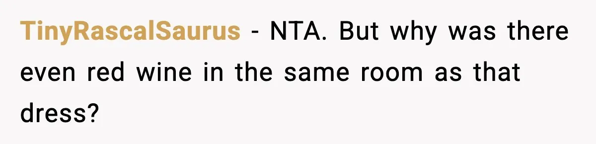 TinyRascalSaurus − NTA. But why was there even red wine in the same room as that dress?