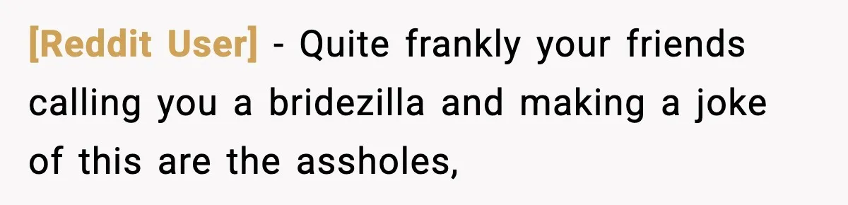 [Reddit User] − Quite frankly your friends calling you a bridezilla and making a joke of this are the assholes,