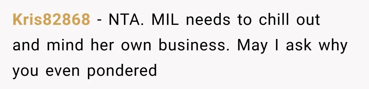 Kris82868 − NTA. MIL needs to chill out and mind her own business. May I ask why you even pondered