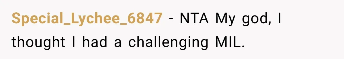 Special_Lychee_6847 − NTA My god, I thought I had a challenging MIL.