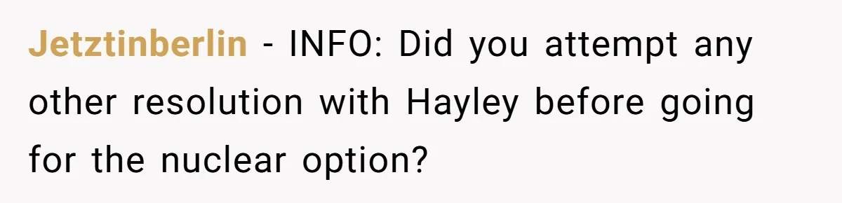 Jetztinberlin − INFO: Did you attempt any other resolution with Hayley before going for the nuclear option?