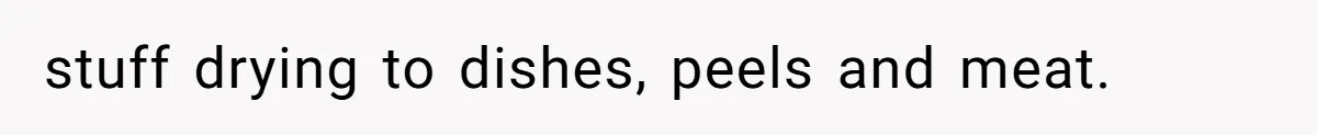 stuff drying to dishes, peels and meat.