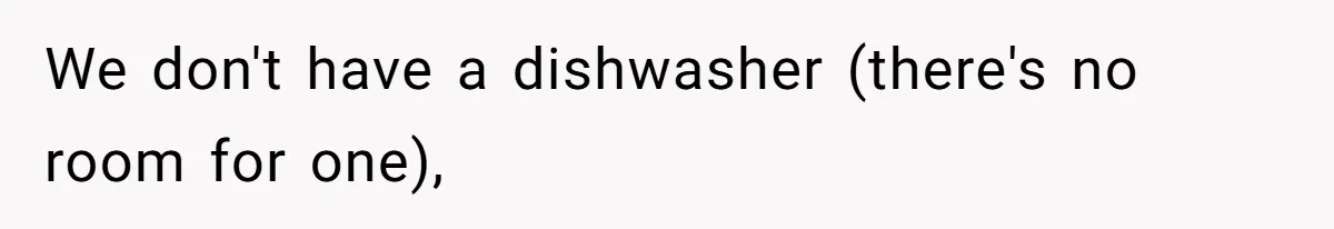 We don't have a dishwasher (there's no room for one),