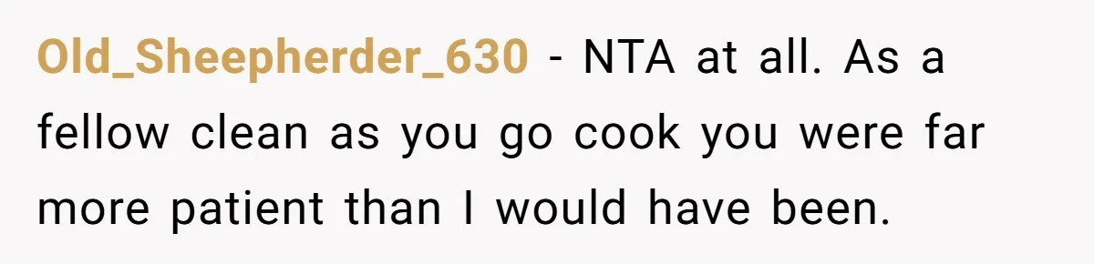 Old_Sheepherder_630 − NTA at all. As a fellow clean as you go cook you were far more patient than I would have been.