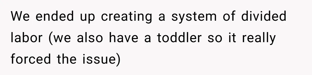 We ended up creating a system of divided labor (we also have a toddler so it really forced the issue)