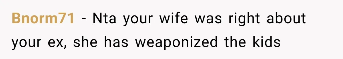 Bnorm71 − Nta your wife was right about your ex, she has weaponized the kids
