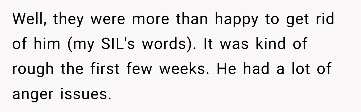Aunt Lets Nephew Call Her Mom After His Own Parents “Got Rid” Of Him Well, they were more than happy to get rid of him (my SIL's words). It was kind of rough the first few weeks. He had a lot of anger issues.