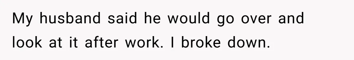 Wife Snapped After Husband Gave His Number To A Flirty Colleague My husband said he would go over and look at it after work. I broke down.